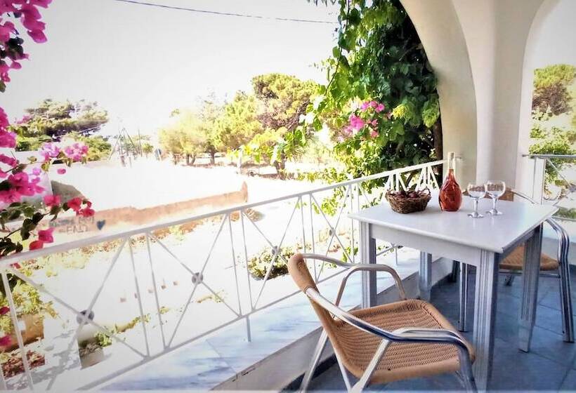 فندق Allegria Family