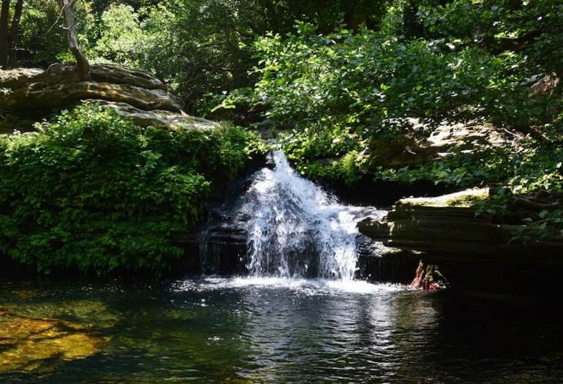 فندق Allegria Family