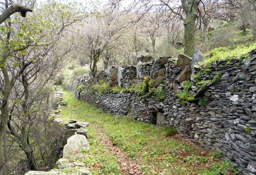 فندق Allegria Family