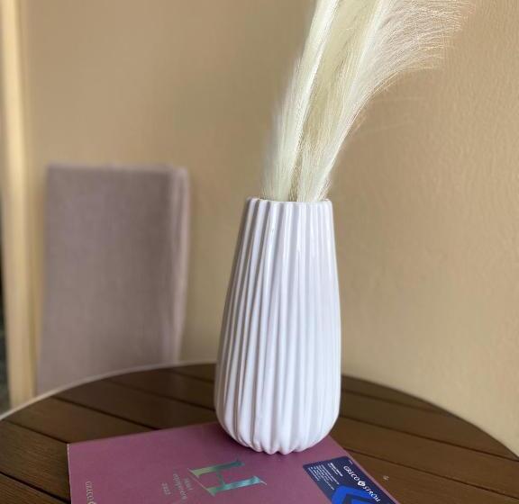 בית מלון כפרי Areti