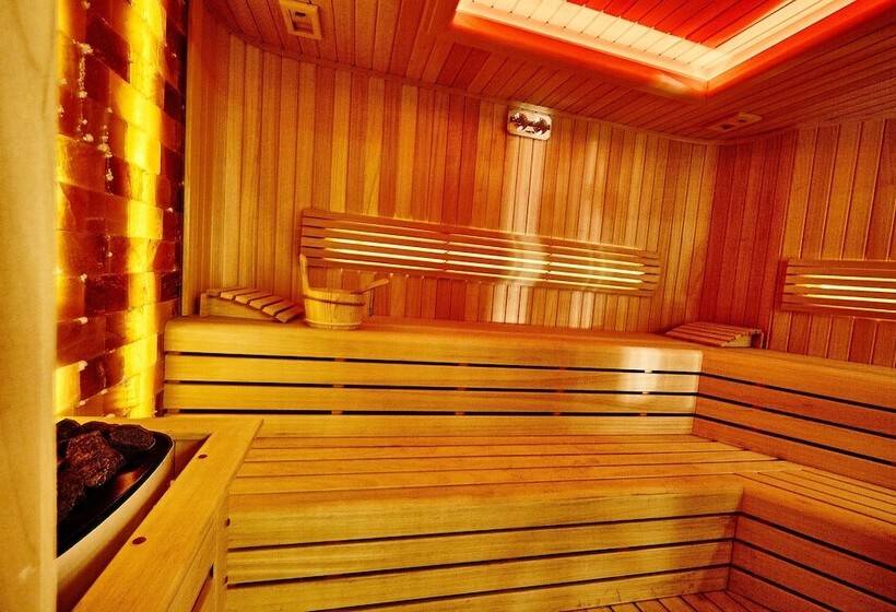 Beethoven Hotel   Special Category