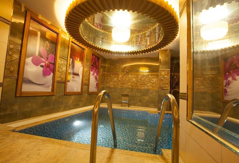 Beethoven Hotel   Special Category