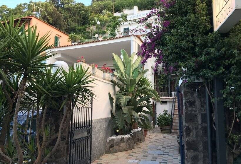 בית מלון כפרי Black Market