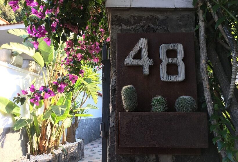 בית מלון כפרי Black Market