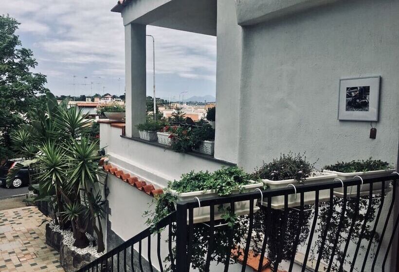 בית מלון כפרי Black Market