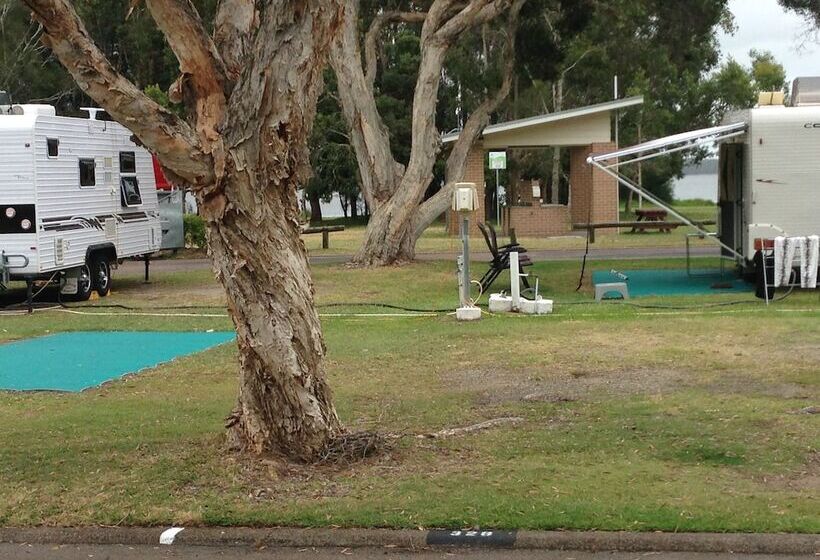 בית מלון כפרי Budgewoi Holiday Park