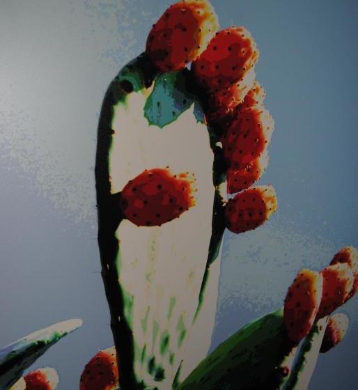 בית מלון כפרי Case Giannone