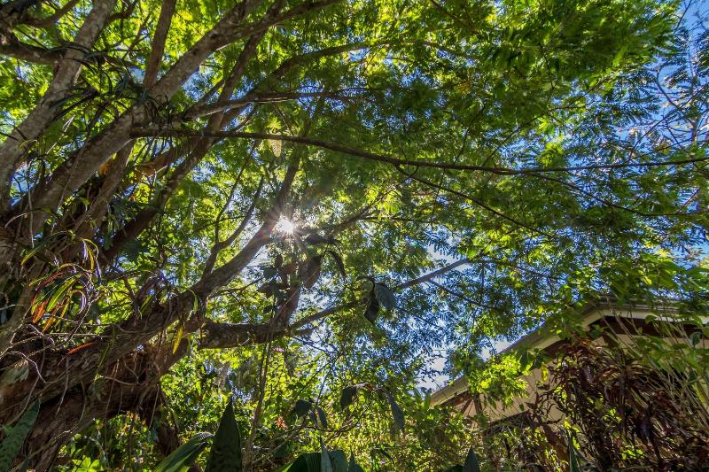 فندق Colinas Del Sol