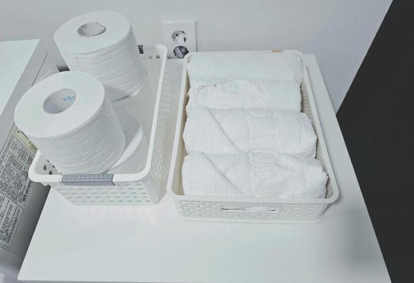 Ekonomy Hotel Myeongdong Premier