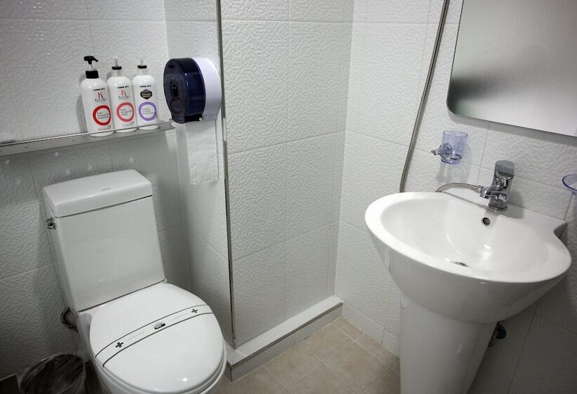 Ekonomy Hotel Myeongdong Premier