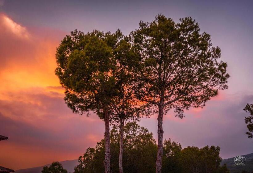 호텔 Finca Fabiola