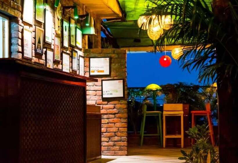 Hotel Harsh Paradise