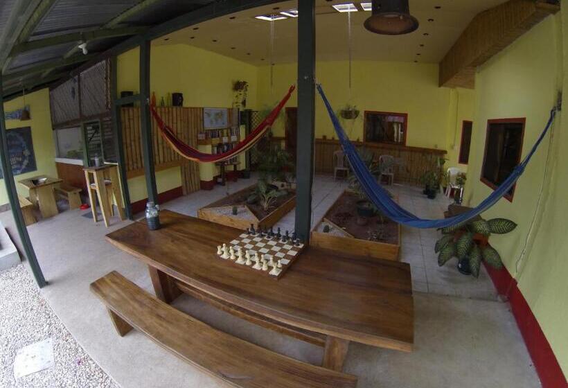 Отель Indra Inn