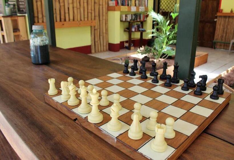 Отель Indra Inn