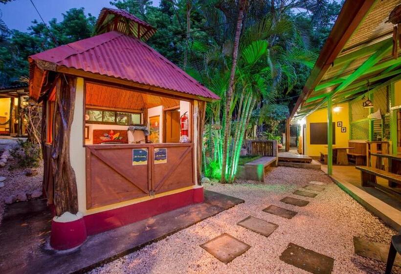 Отель Indra Inn