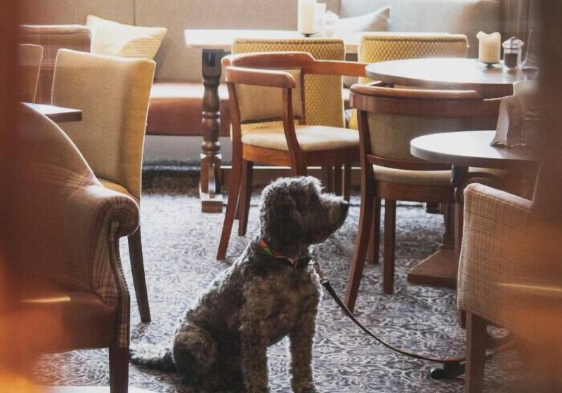 فندق Inn In The Park