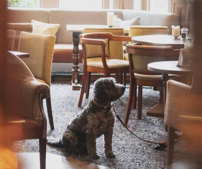 فندق Inn In The Park