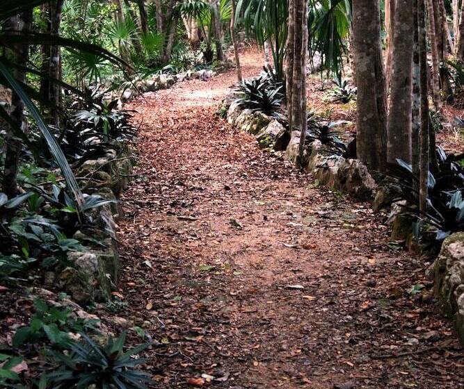 ホテル Kambulum Nature Eco Villas