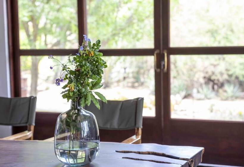 酒店 Ku Sungula Safari Lodge