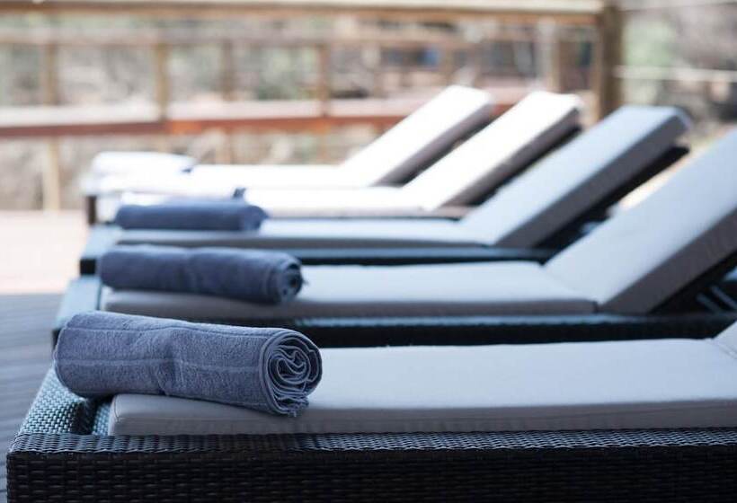 בית מלון כפרי Moditlo River Lodge