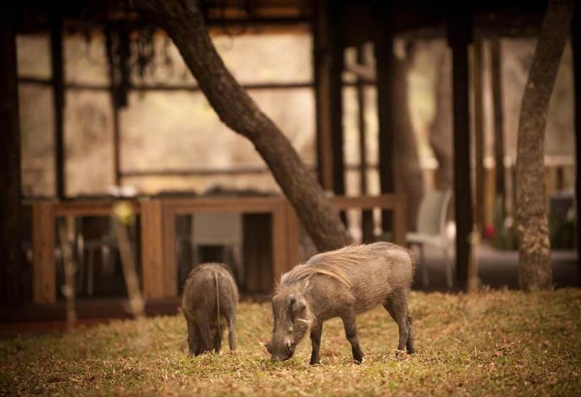 בית מלון כפרי Moditlo River Lodge