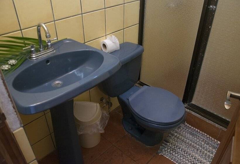 호텔 Pelican Beachfront