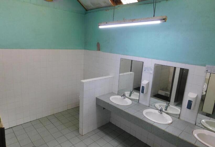 هتل Rainforest Eco Lodge