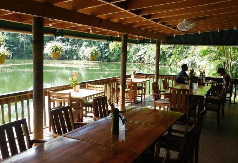 هتل Rainforest Eco Lodge