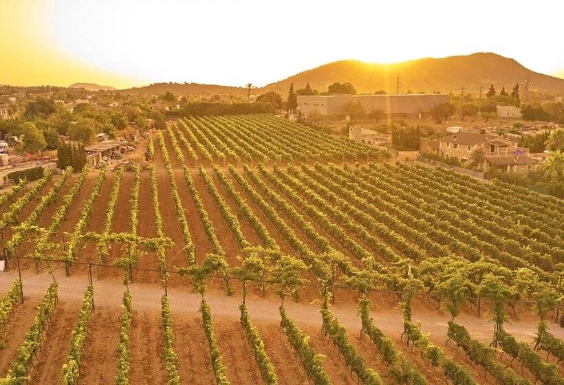 호텔 Agroturismo Sa Vinya Des Convent