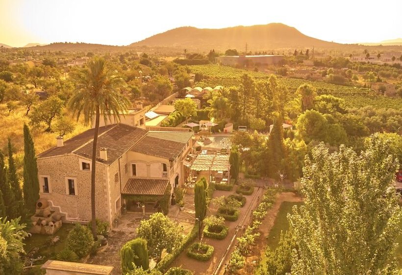 호텔 Agroturismo Sa Vinya Des Convent