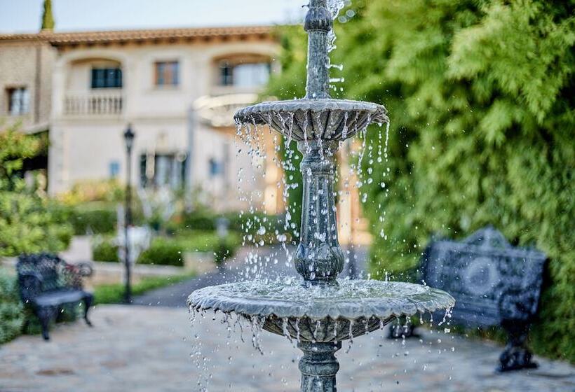 호텔 Agroturismo Sa Vinya Des Convent