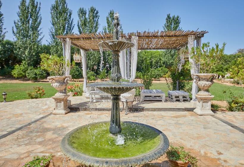 호텔 Agroturismo Sa Vinya Des Convent