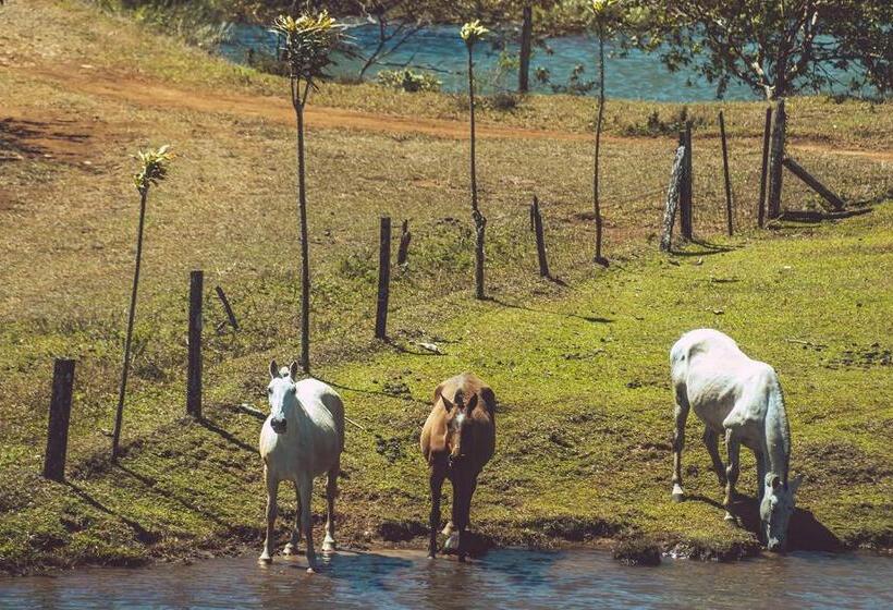 فندق Termales Del Bosque & Hot Springs