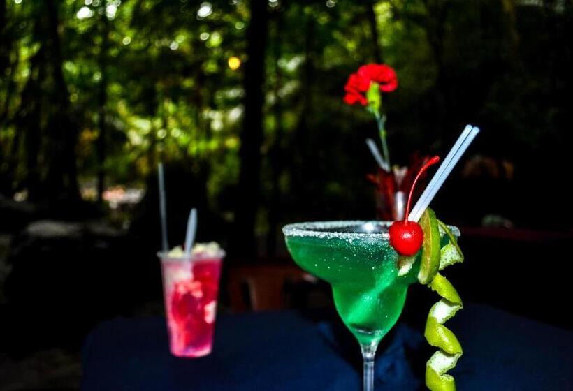 فندق Termales Del Bosque & Hot Springs