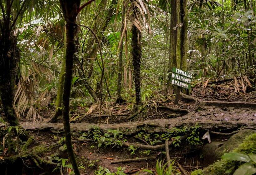 فندق Termales Del Bosque & Hot Springs