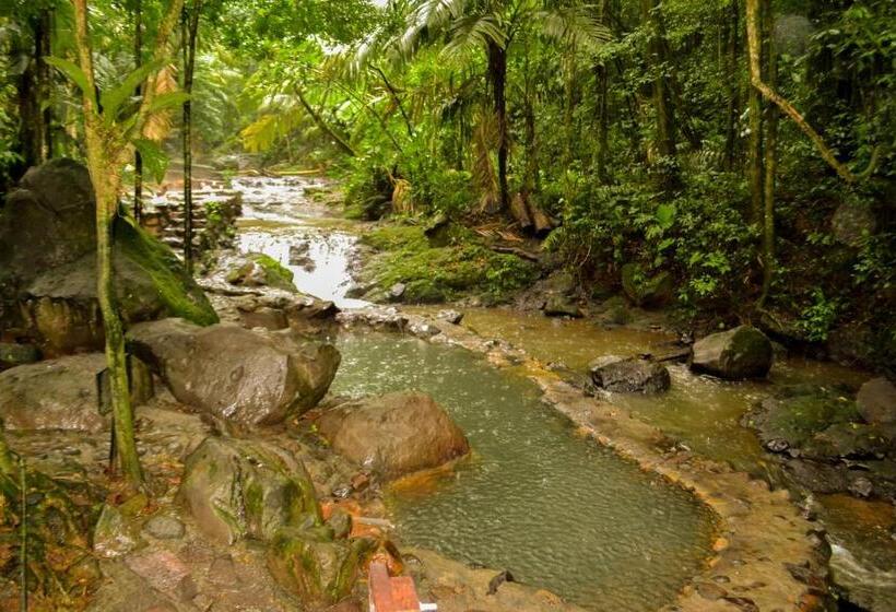 בית מלון כפרי Termales Del Bosque & Hot Springs