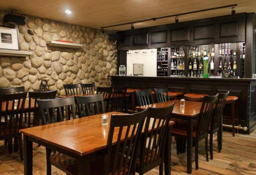 Отель The Bulldog