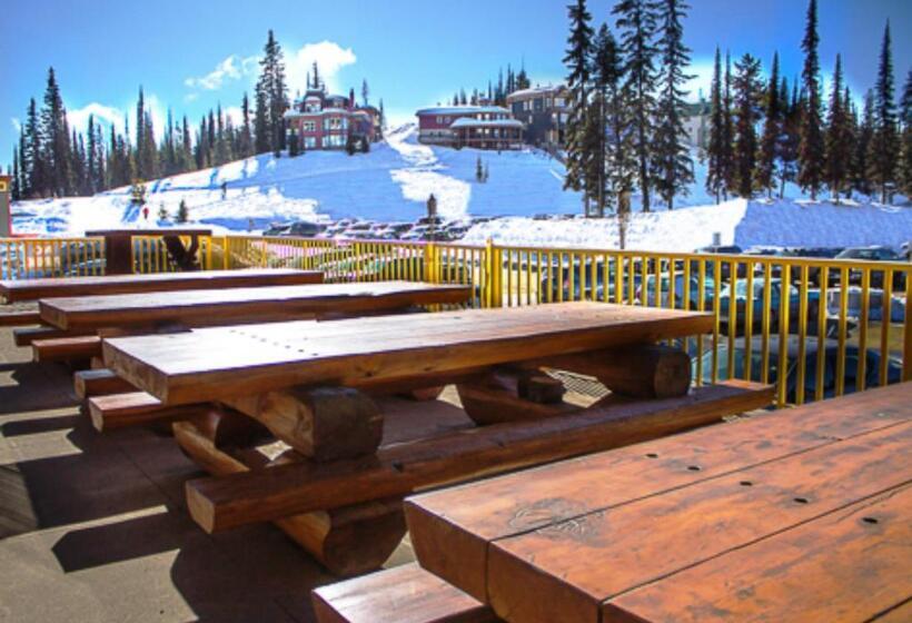 Отель The Bulldog