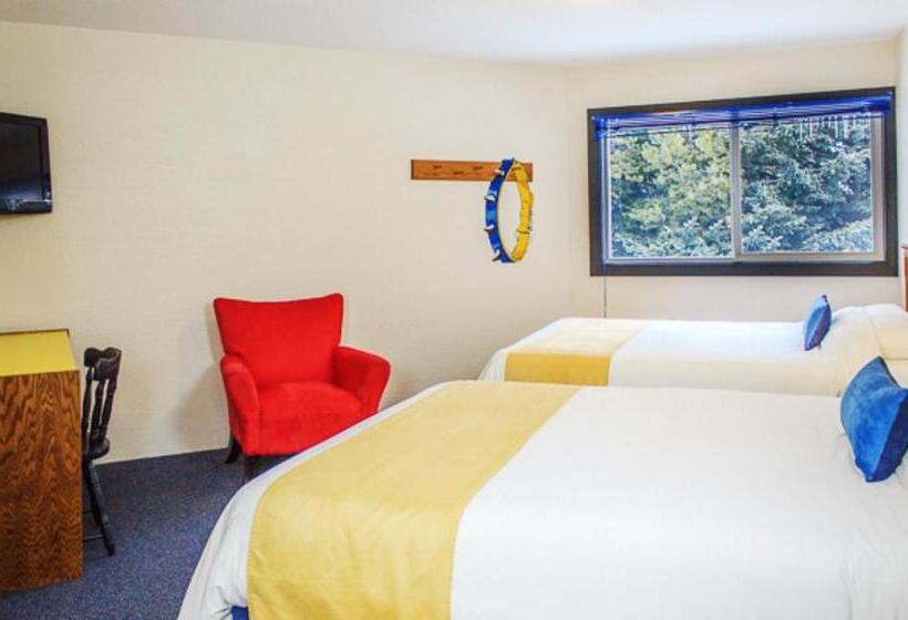 Отель The Bulldog