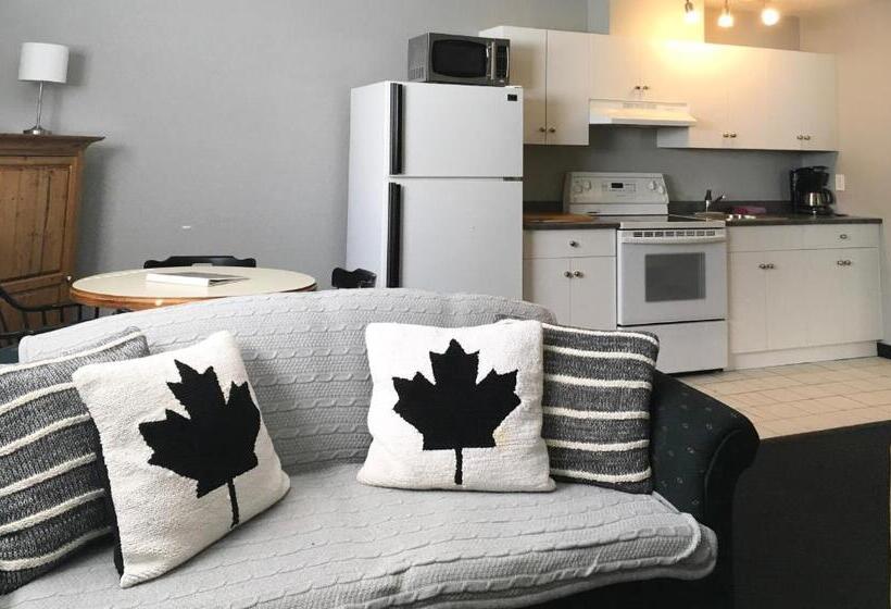 Отель The Bulldog