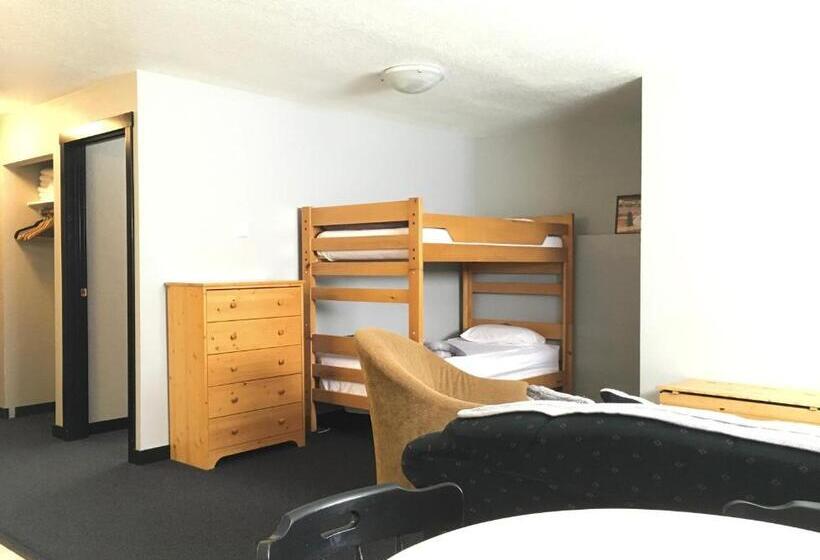 Отель The Bulldog