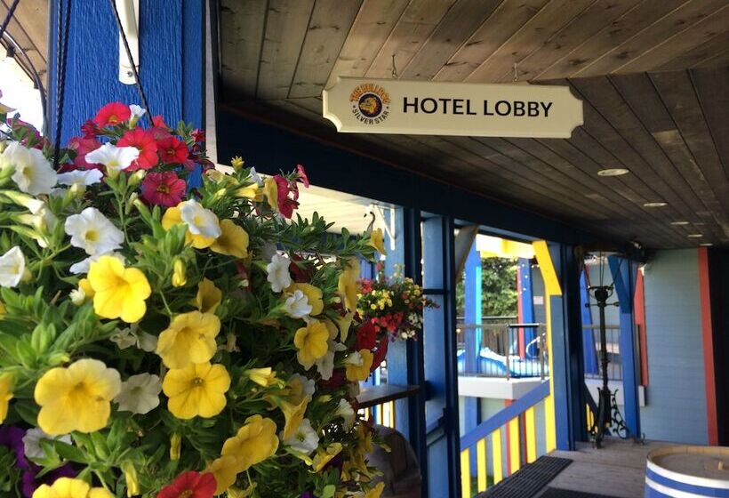 Отель The Bulldog