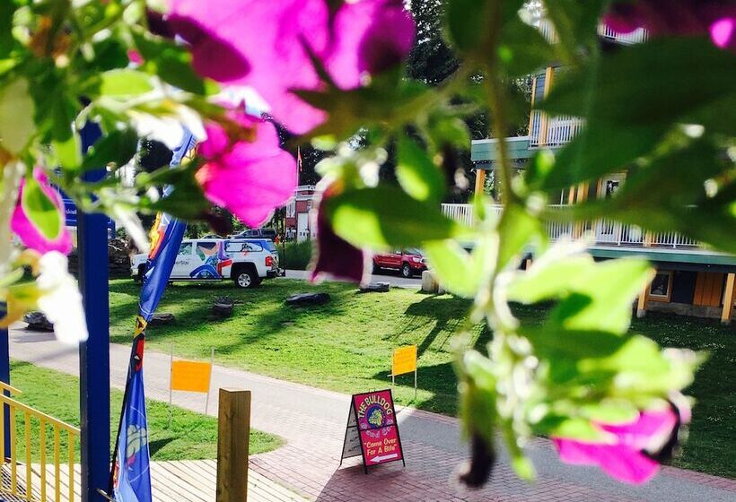 Отель The Bulldog