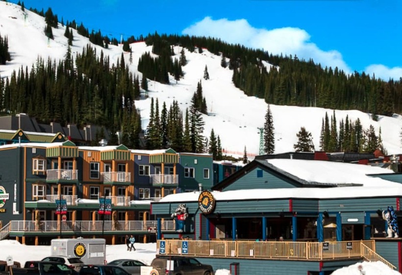 Отель The Bulldog