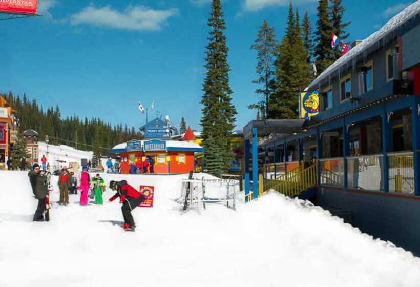 Отель The Bulldog