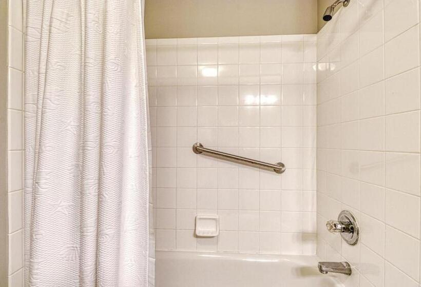 Отель The Palms #1002