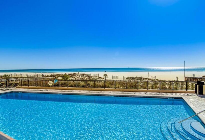 Отель The Palms #1002