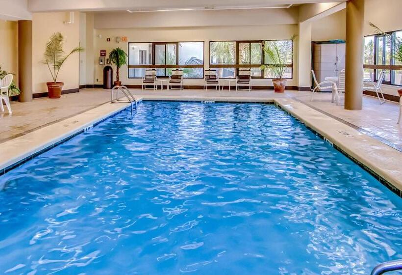 Отель The Palms #1002