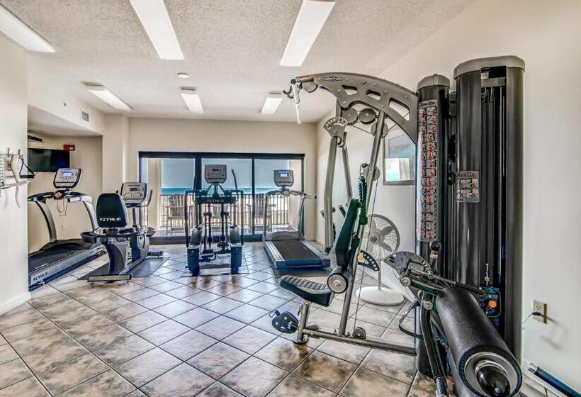 Отель The Palms #1002