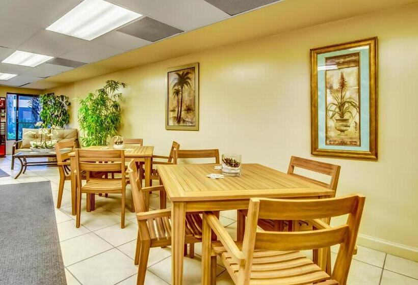 Отель The Palms #1002